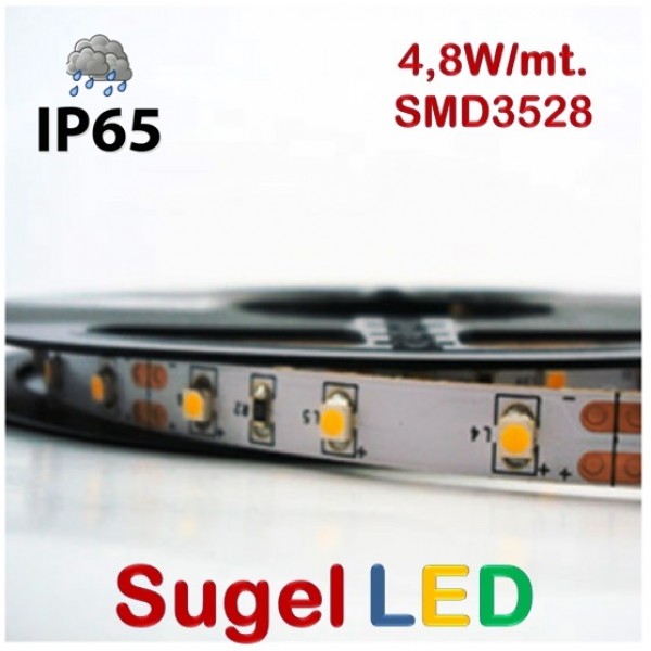 Tira LED  5 mts Flexible 24W 300 Led SMD 3528 IP54 Blanco Cálido